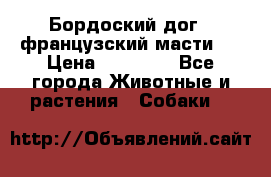 Бордоский дог ( французский масти)  › Цена ­ 50 000 - Все города Животные и растения » Собаки   